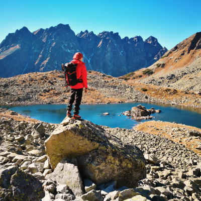 photo-1548095779-26dbc38010ed